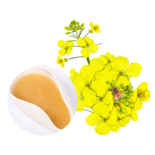 Qinghai-Tibetan Plateau Good Price Raw Honey Bulk Packing Honey Bee Rapeseed Flowers Honey